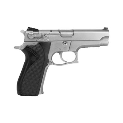 handgun model