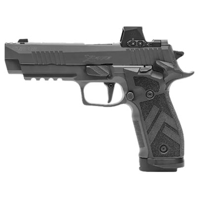 handgun model