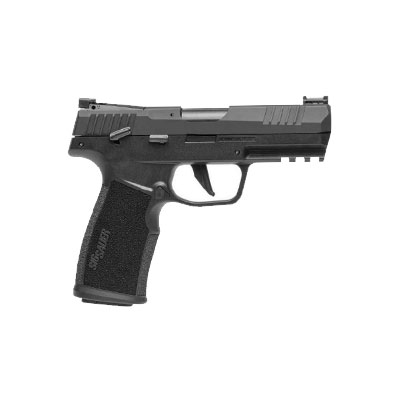 handgun model
